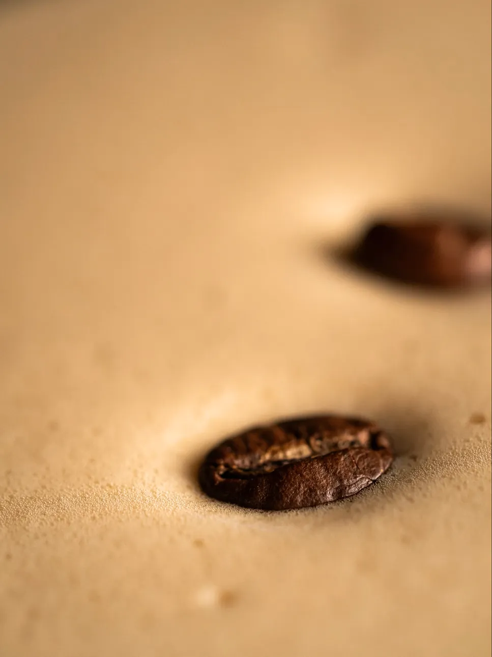 Two roasted coffee beans resting on a warm surface
