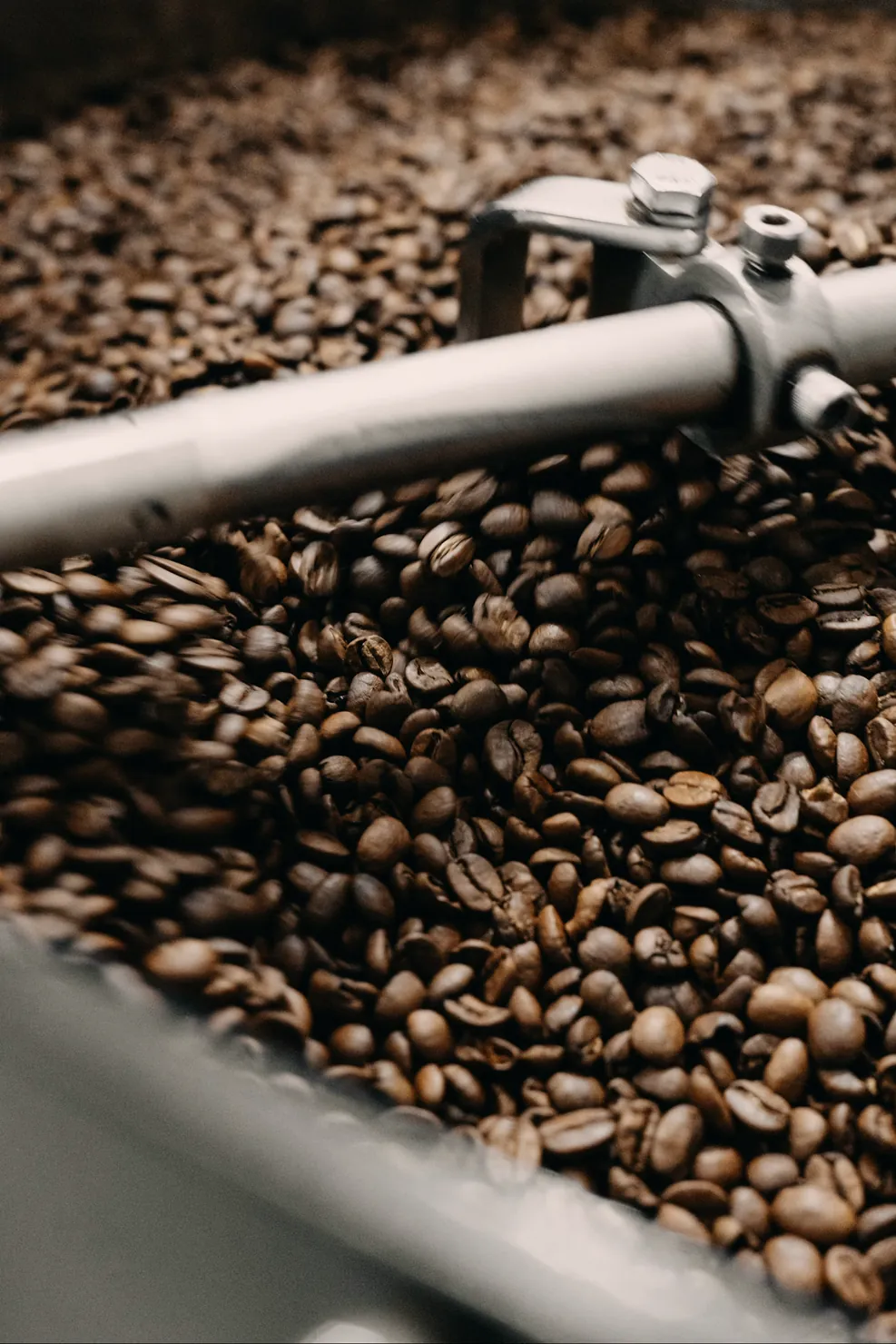 Coffee beans turning in the cooling tray of a roaster